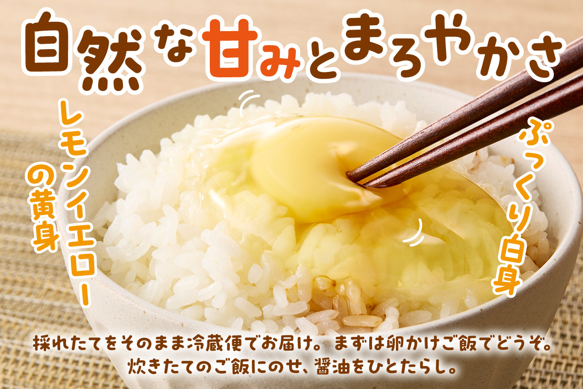 【12回定期便】平飼いで のびのび！ばあちゃんの昔たまご 40個/月 割れ保証あり 999-B612