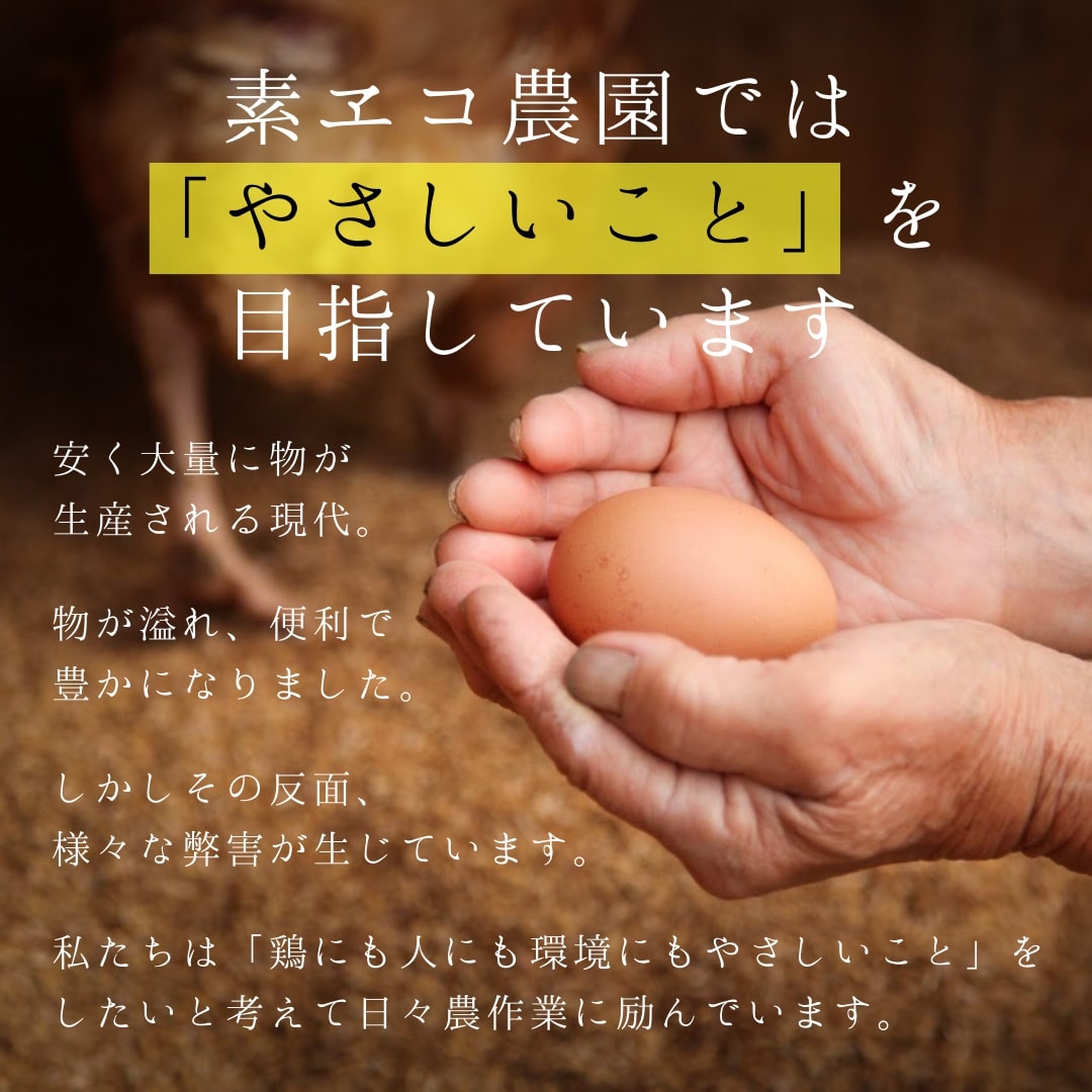 【6回定期便】平飼いで のびのび！ばあちゃんの昔たまご 40個/月 割れ保証あり 999-B619