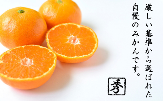 佐賀県産みかん あんみつ姫 4kg 114-B1015