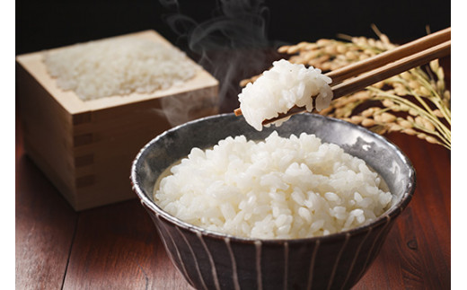 佐賀県産 ゆめしずく 白米4.5kg×3回定期便 999-B826