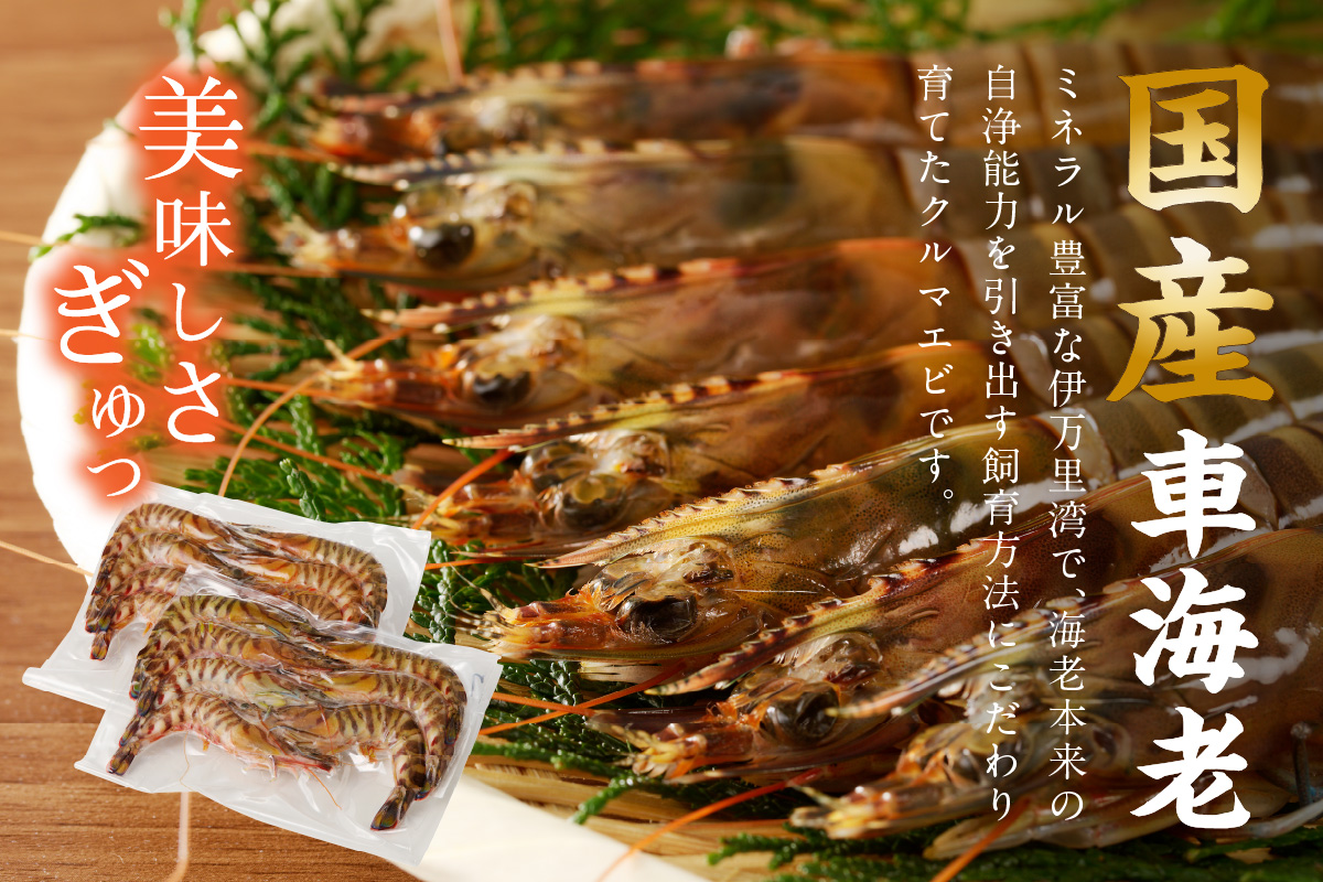 伊万里産 冷凍車海老（訳あり、加熱用、250gx5pc） 010-C197