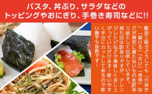 訳あり 有明海産 佐賀海苔 半切 260枚 （130枚×2） 181-C204