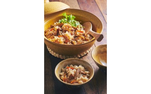 伊万里ヤマンドリ “おうちごはんシリーズ”おやまのとりめし 016-G285