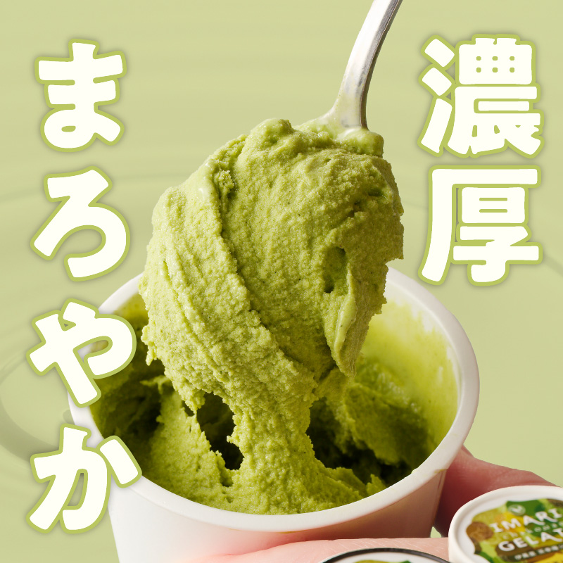 アイスクリーム 茶幸庵ジェラート9個セット 013-G295