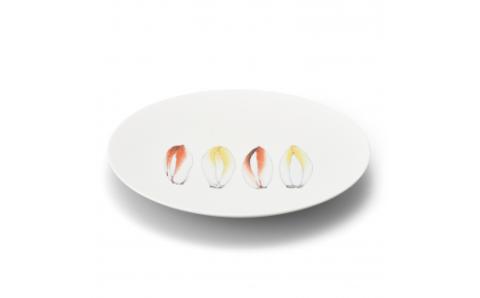 【伊万里焼】プレート 平皿 Chicory φ29cm Plate 028-H830