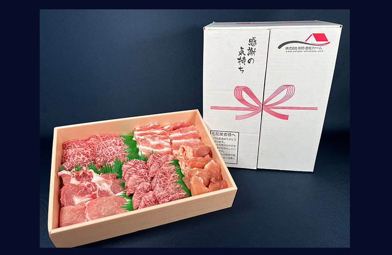 佐賀県産厳選5種焼肉盛り合わせ 600g（2～3人前） 180-J1633