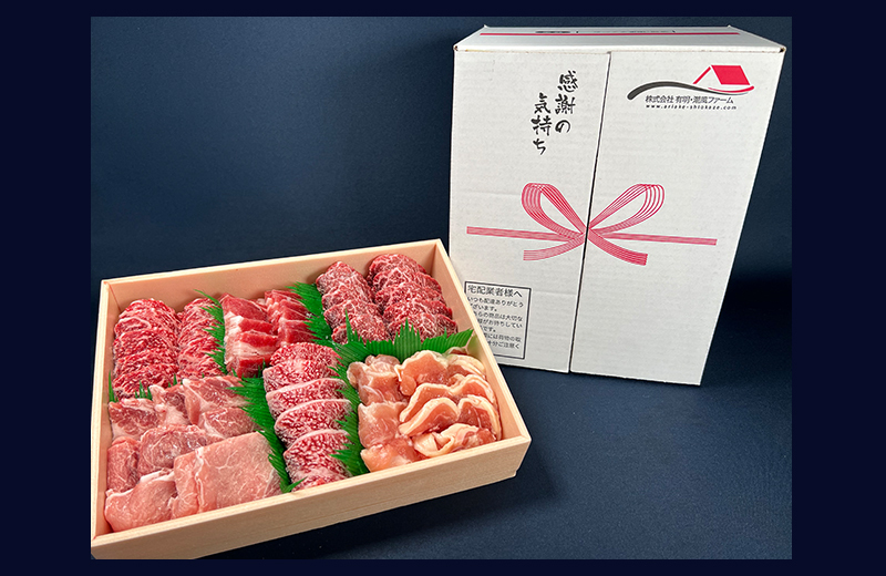 佐賀県産厳選6種焼肉盛り合わせ 1000g（4～5人前） 180-J1634