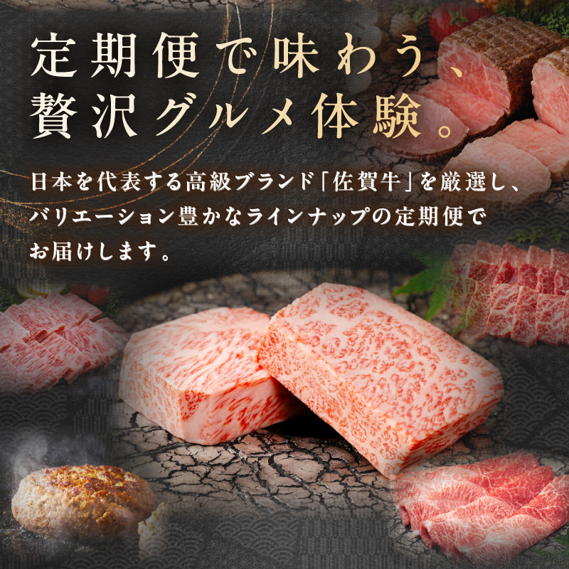 【発送月固定 定期便】肉の定期便！ 厳選 佐賀牛 隔月お届け（奇数月）全6回 999-J1169