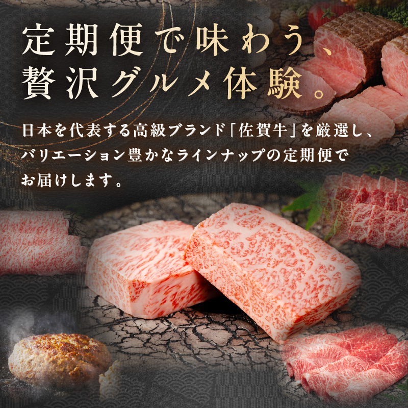 【発送月固定 定期便】肉の定期便！ 厳選 佐賀牛 隔月お届け（偶数月）全6回 999-J1170