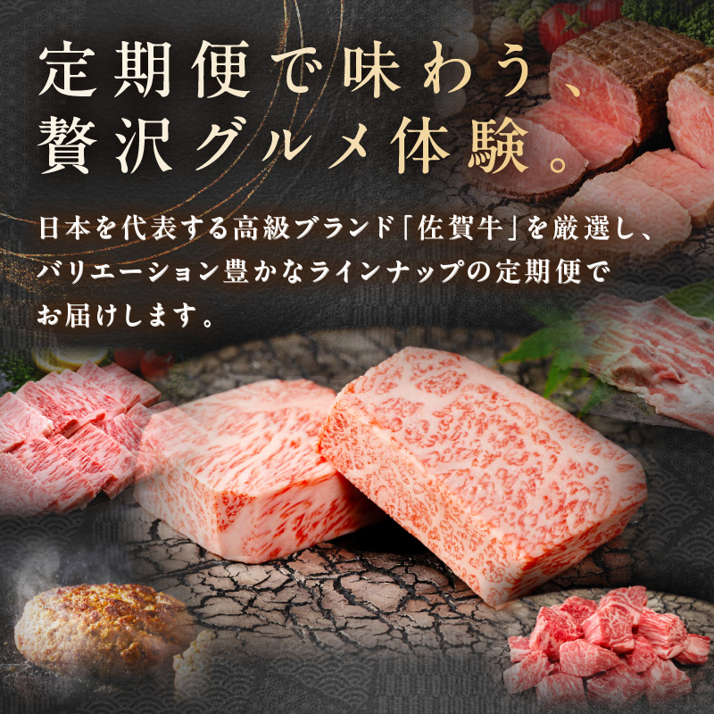 【発送月固定 定期便】肉の定期便！ 佐賀牛 毎月月替わりでお届け 全12回 999-J1171