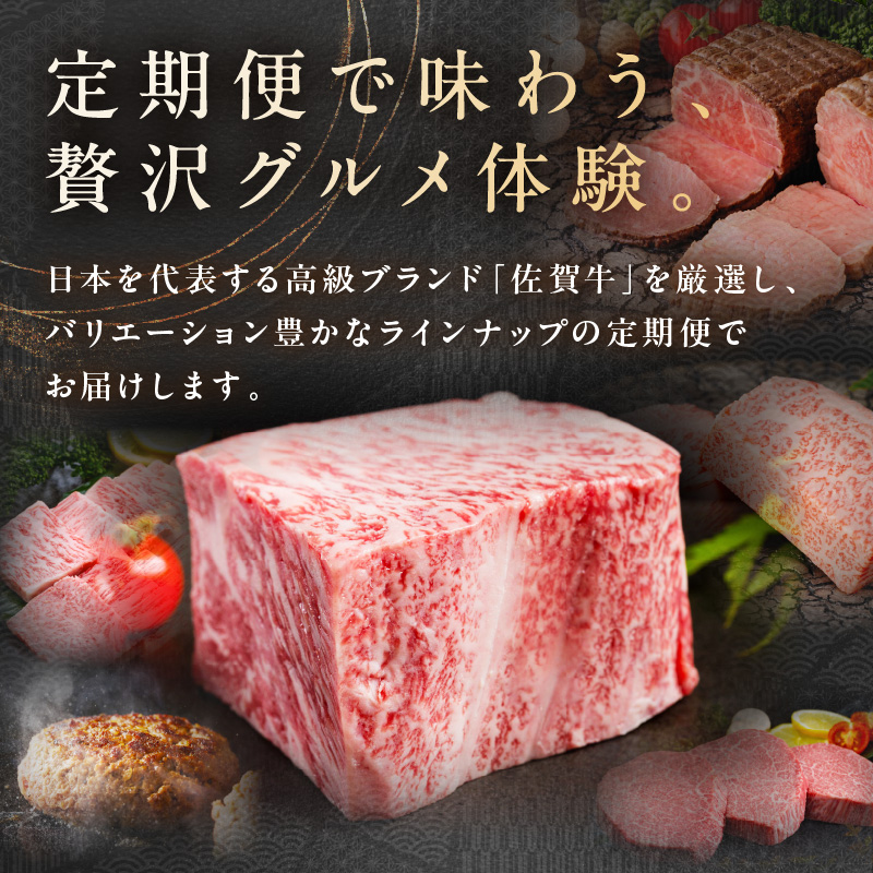 【発送月固定 定期便】肉の定期便！ 特選佐賀牛 毎月月替わりでお届け 全12回 999-J1172