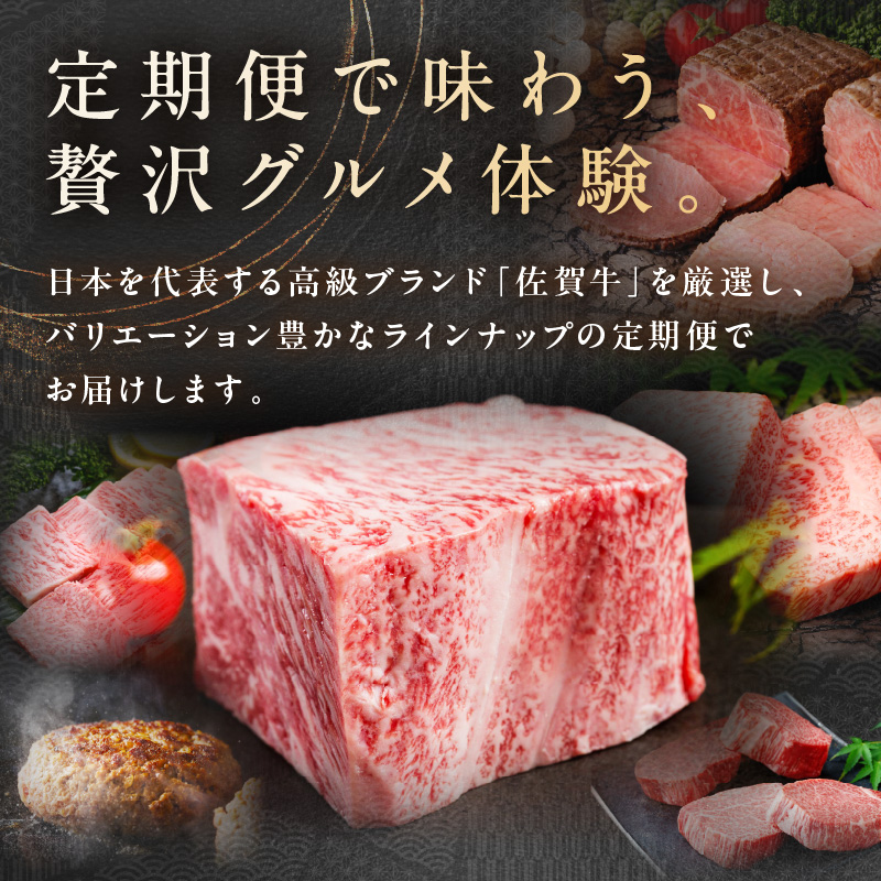 【発送月固定 定期便】肉のプレミアム定期便！ 毎月 佐賀牛 をお届け！全12回 999-J1173