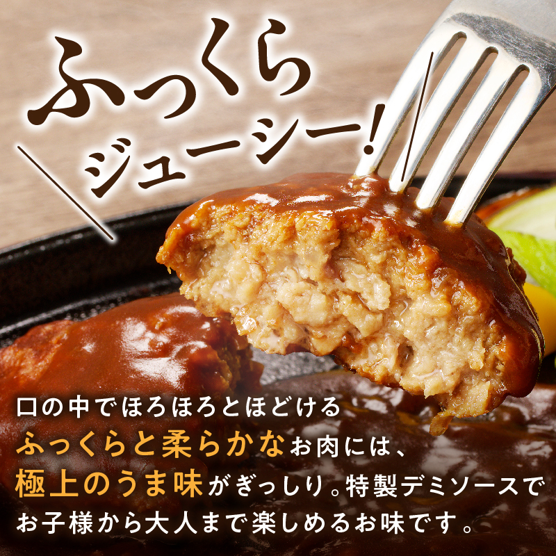 【伊万里牛100%使用】 ハンバーグ セット（プレーン21個&デミ15個） 183-J1247