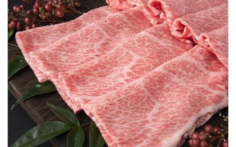 伊万里牛 肩ローススライス すき焼き 焼肉用 500g 001-J245