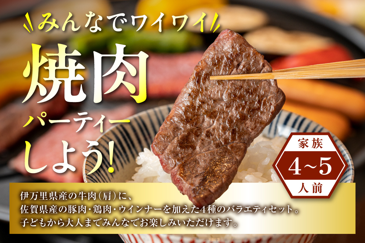 バラエティ美味 焼肉セット 牛肉 豚肉 鶏肉 1.1kg 006-J1852