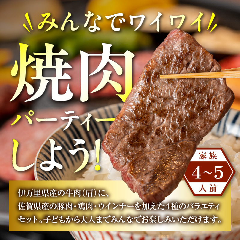 バラエティ美味 焼肉セット 牛肉 豚肉 鶏肉 1.1kg 006-J1852