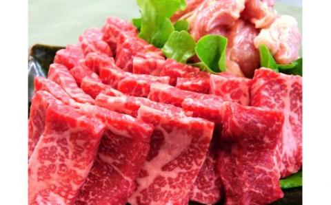 バーベキューセット 伊万里牛 モモ 鶏肉 約800g 002-J340