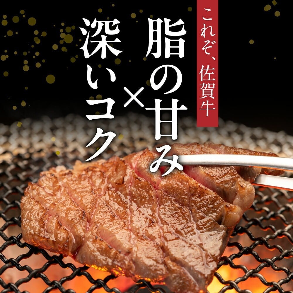 A5 A4 佐賀牛 肩ロース 焼肉用 500g 117-J370