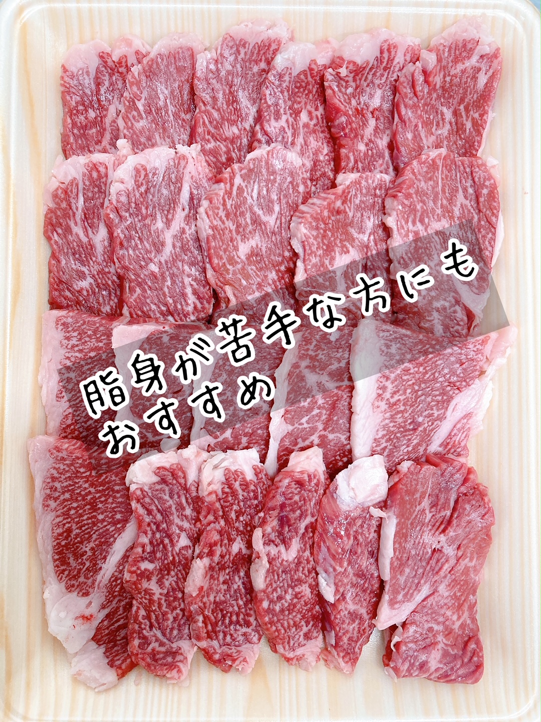 佐賀牛バラ焼肉500g 100-J708