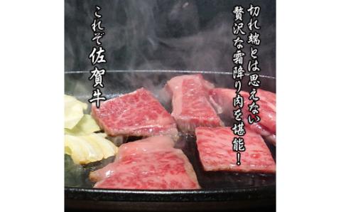 佐賀牛はしっこちゃん500g 161-J1222