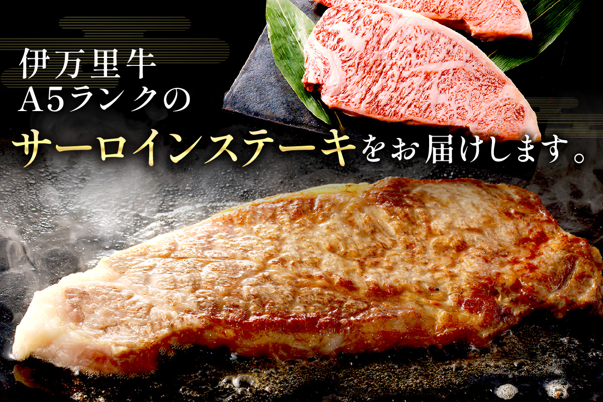 特選伊万里牛 A5 サーロインステーキ 約600g 044-J817