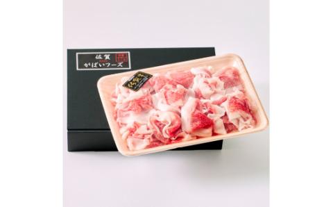 佐賀牛 切り落とし 500g 161-J879