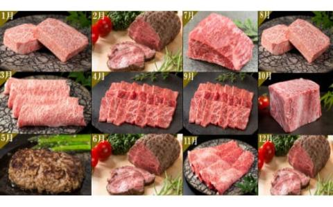 佐賀牛毎月プレミアム定期便12回ｺｰｽ 999-J905