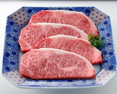 伊万里牛あじわい定期便 6回便 ヒレステーキ 焼肉 すき焼き しゃぶしゃぶ 999-J954