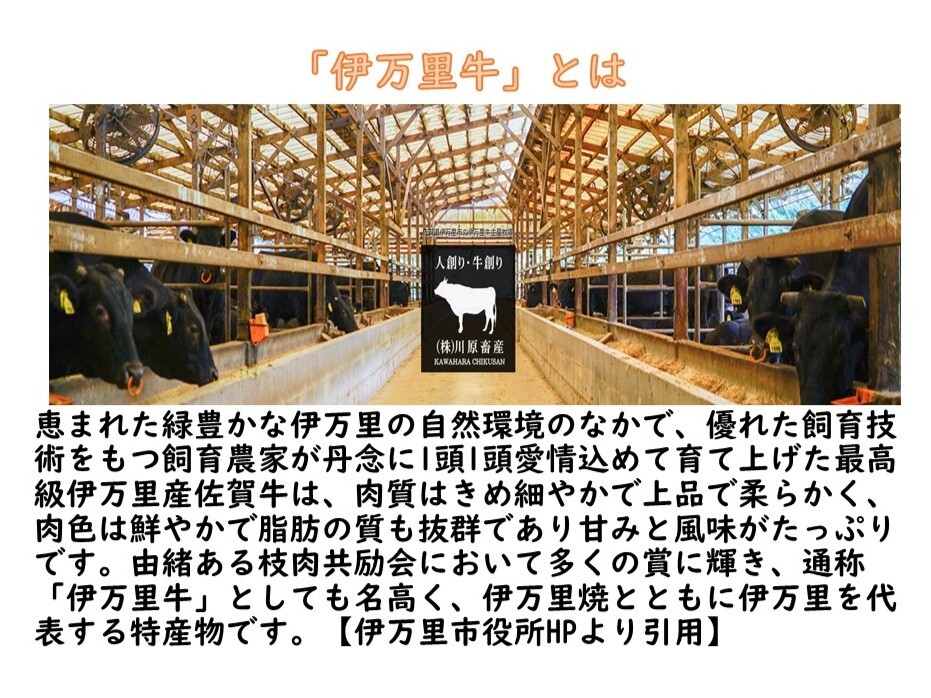 特選伊万里牛A5 ひき肉500g 176-J999