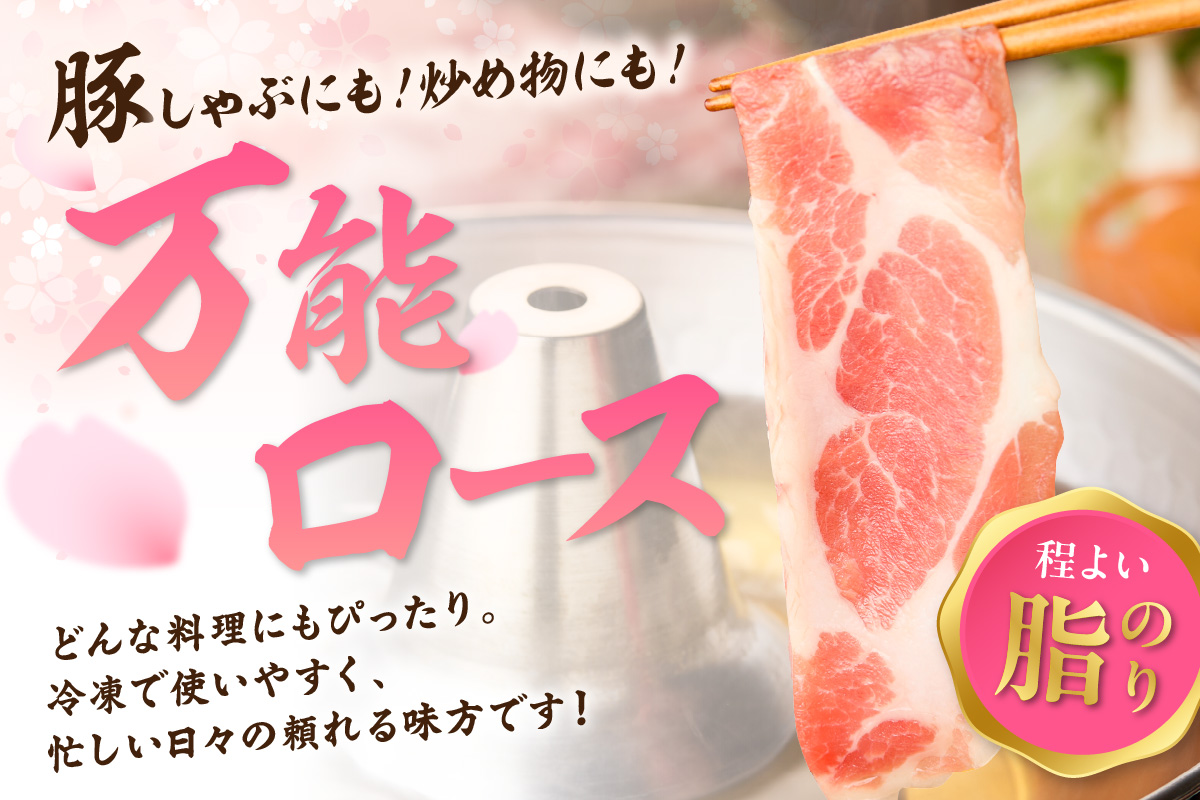 佐賀県産 豚肉 肥前さくらポーク ローススライス 約1.3kg 180-L043