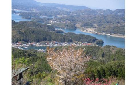 波多津の町おこしに参加ください！【思いやり型返礼品（協賛型）】 103-O003