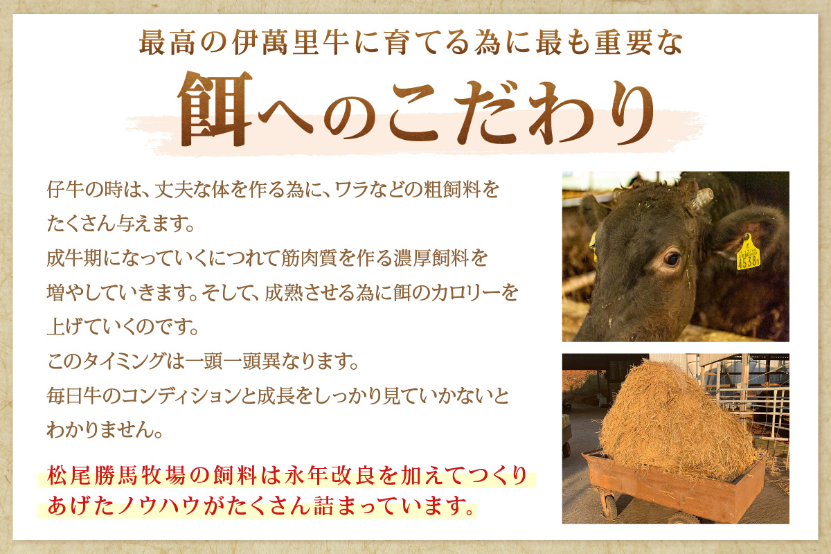 A5 A4 伊萬里牛 (伊万里牛) 上カルビ 焼肉 500g 007-J1782