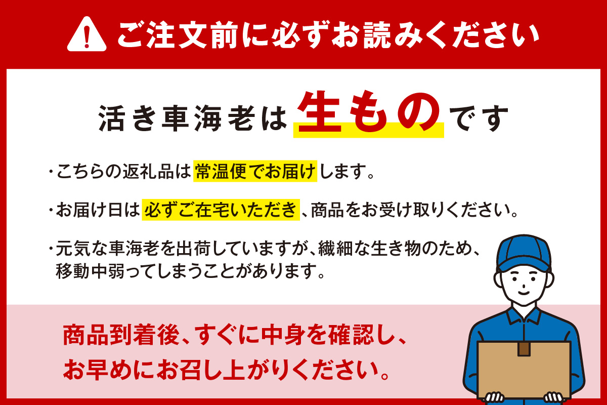 活車海老 250g 指定日可能【数量限定 先行予約】（12月1日から配送開始） 010-C227