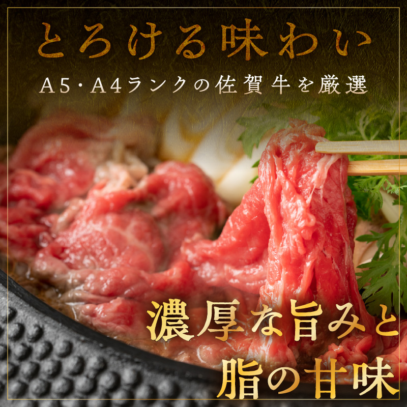 佐賀牛切り落とし 600g 149-J1822