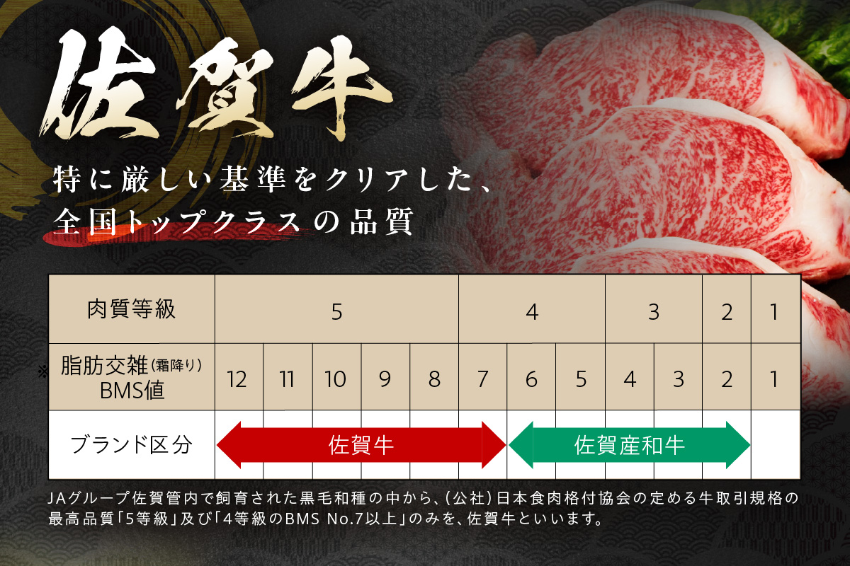 佐賀牛 ヒレステーキ 600g（200g×3枚） 189-J1422