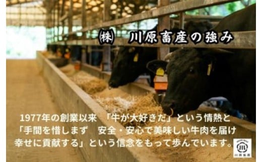 伊万里牛肩薄切り 500g 【川原畜産】 208-J1684