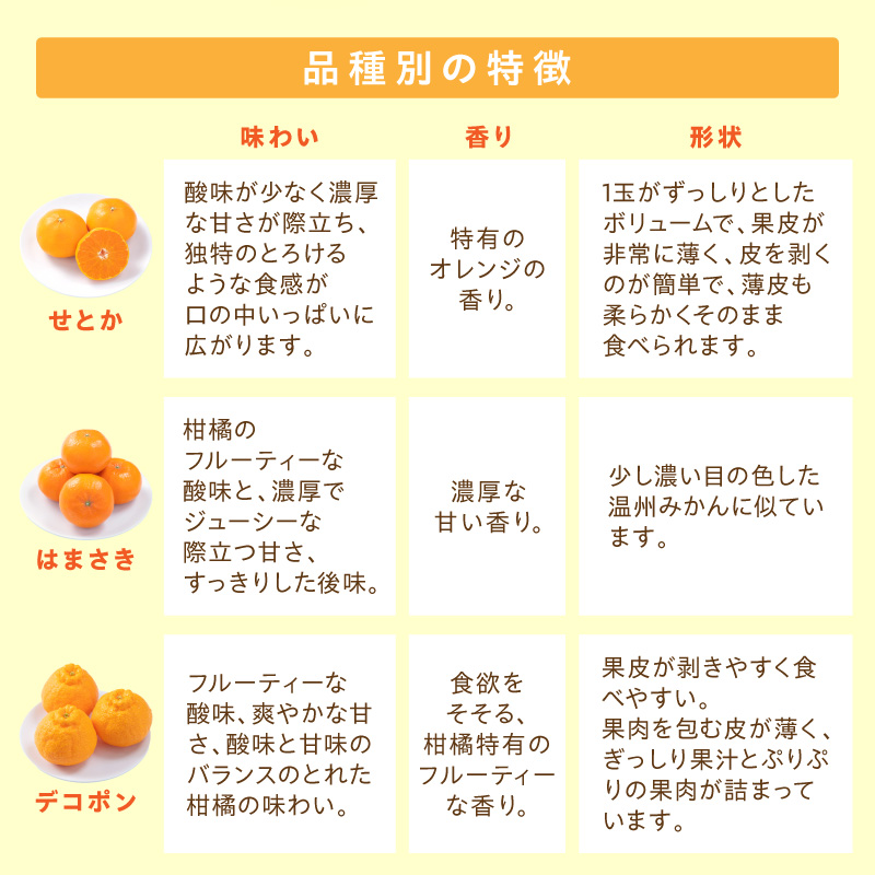 佐賀産 柑橘定期便 彩りセット【全3回】 せとか はまさき デコポン 999-B859