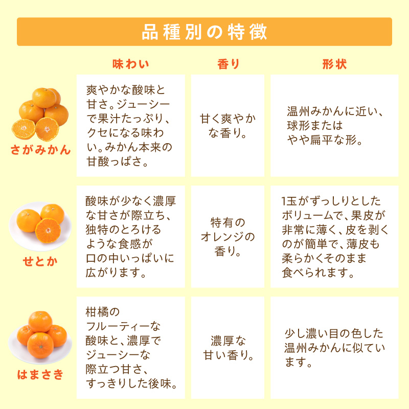 佐賀産 柑橘6種定期便 満喫セット【全6回】999-B862