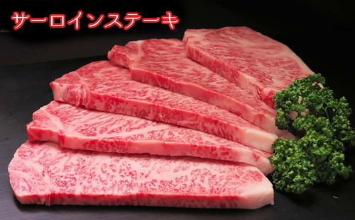 【5ヶ月定期便】佐賀牛プレミアム3点セット 999-J1517