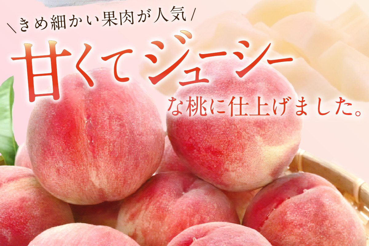 【先行予約】伊万里の桃 2個×6パック 178-B970