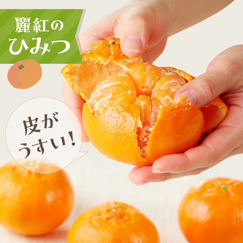 伊万里のみかん「麗紅」3kg化粧箱 003-B129