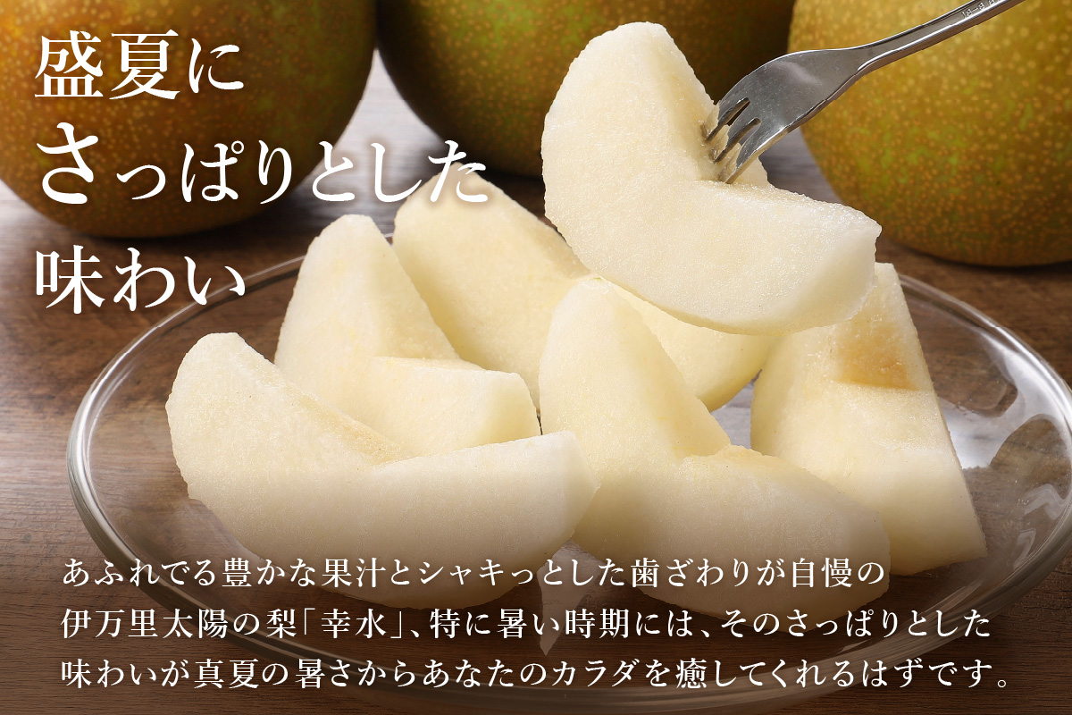 【2026年産先行予約】伊万里梨 「幸水」 約5kg ご自宅用におすすめ 178-B938
