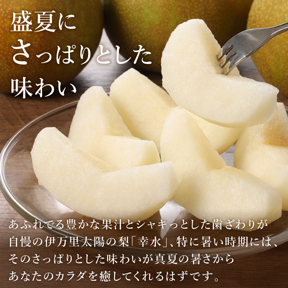 【2026年産先行予約】伊万里梨 「幸水」 約5kg ご自宅用におすすめ 178-B938