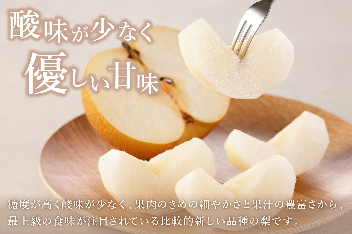 【2026年産先行予約】伊万里梨「あきづき」 約5kg 178-B940