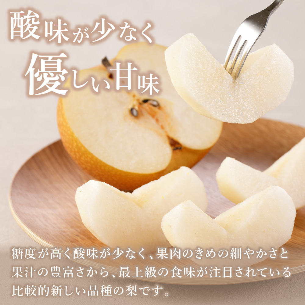 【2026年産先行予約】伊万里梨「あきづき」 約5kg 178-B940