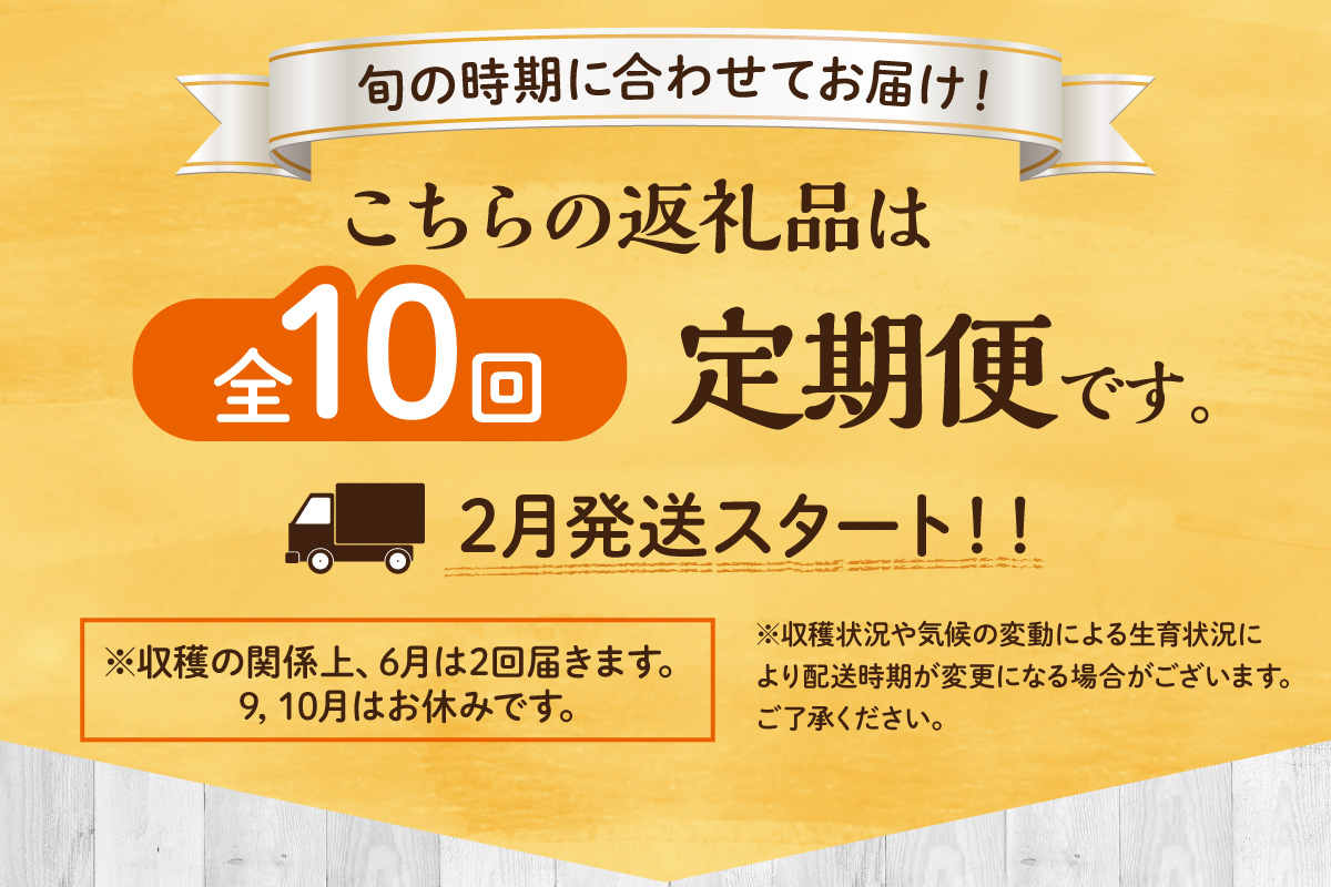 フルーツ定期便【10回便】彩 いちご もも みかん等 10種類 999-B990