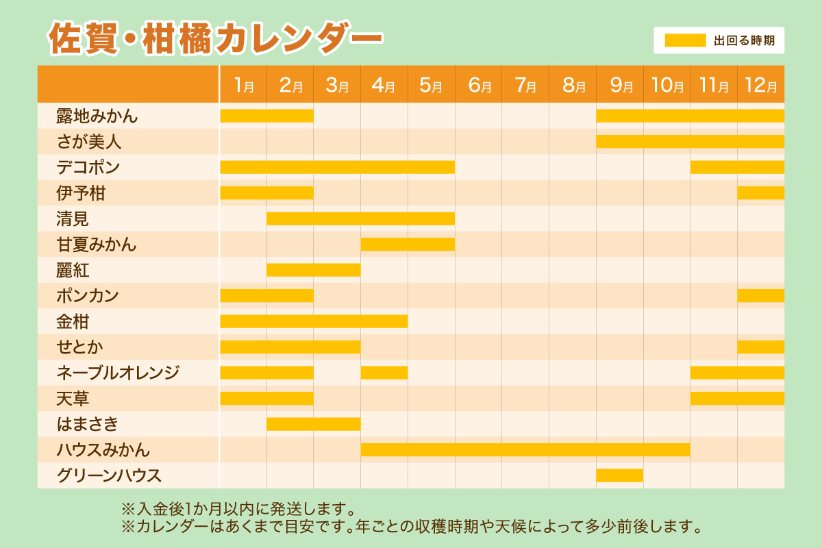 佐賀の旬の柑橘をお届け 佐賀産かんきつ5kg 147-B397