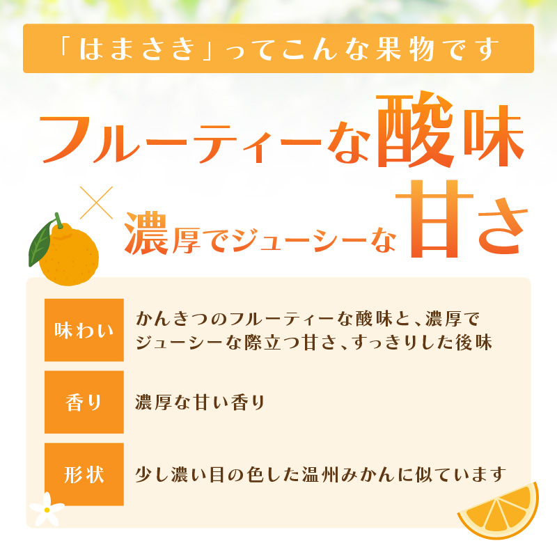 佐賀産 柑橘 「はまさき」 約3kg 箱 (7-12玉) 147-B805