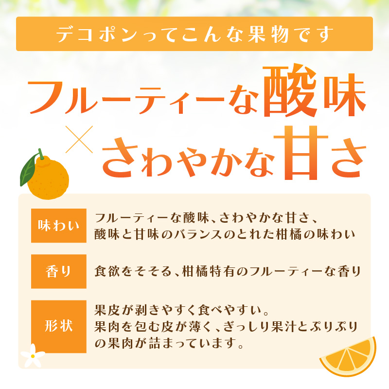 佐賀産 デコポン 約5kg (15-24玉) (伊万里市) 柑橘類 147-B803