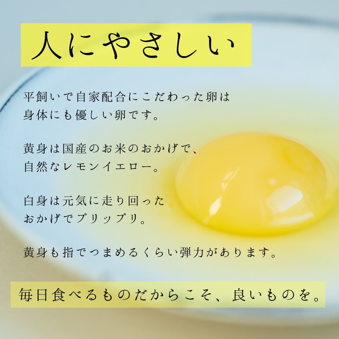 【6回定期便】平飼いで のびのび！ばあちゃんの昔たまご 40個/月 割れ保証あり 999-B619